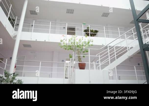 Ground-level view of modern multi-level atrium showing central potted ...