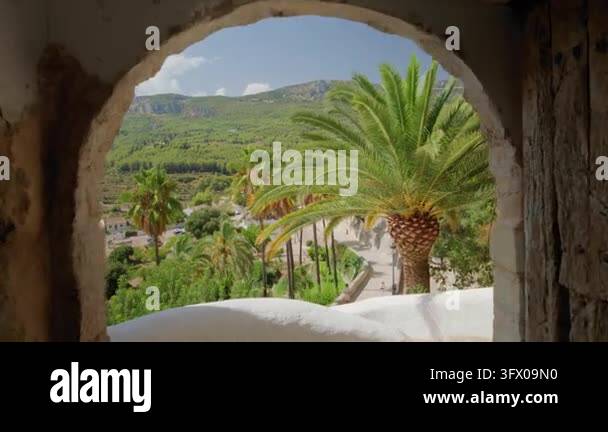 Sunny hillside promenade lined with tall palm trees seen through rough ...