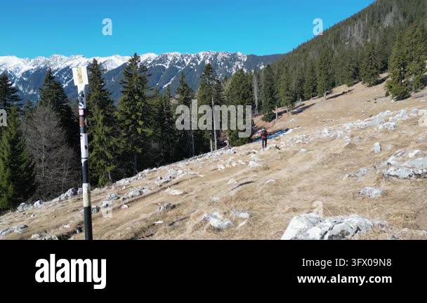 Person hiking on rocky terrain with trees and mountains in the ...