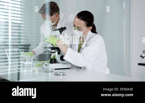 Microscopes Science team collaborating on biological research, using microscopes ...
