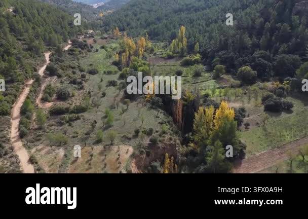 Aerial view of green hills and trees Stock Video Footage - Alamy