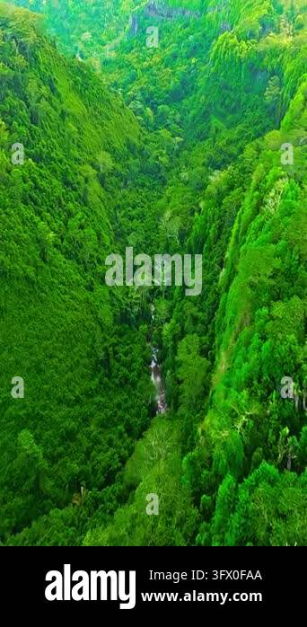 Aerial view of a beautiful, picturesque mountain valley in the jungle ...