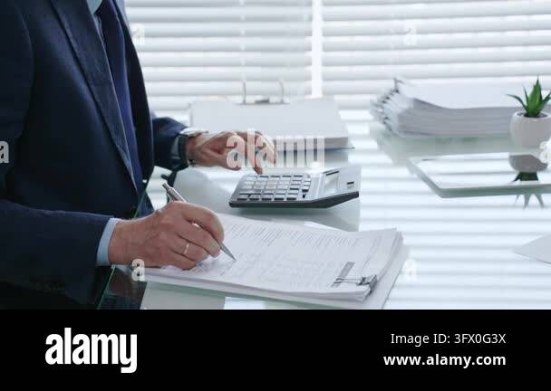Business professional calculating finances, managing budget, performing ...
