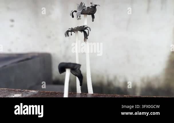 Animated Black Birds Flying Across Concrete Surface, Seamless Looping ...
