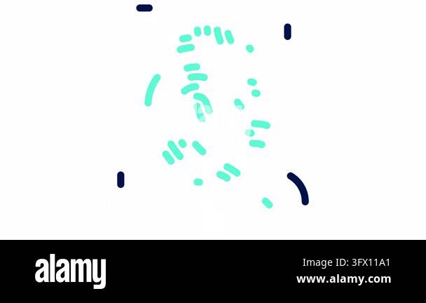 Biometric fingerprint scan icon with verified checkmark. Vector ...
