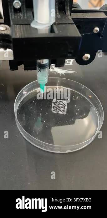 Bio 3D printer. A small bio 3D printer printed small sample from ...