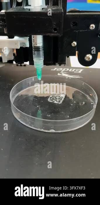 Bio 3D printer. A small bio 3D printer printed small sample from ...