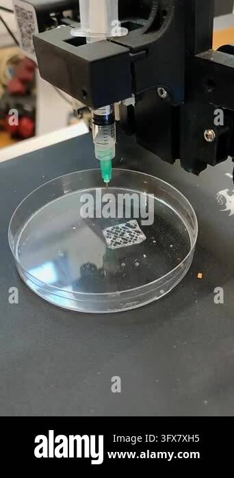 Bio 3D printer. A small bio 3D printer printed small sample from ...