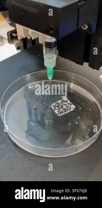 Bio 3D printer. A small bio 3D printer printed small sample from ...