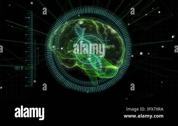 Scale appearing, holo brain with DNA helix rotating, HUD rings spinning ...