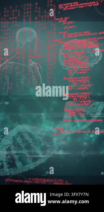 Animation of computer language over multiple medical interface against ...