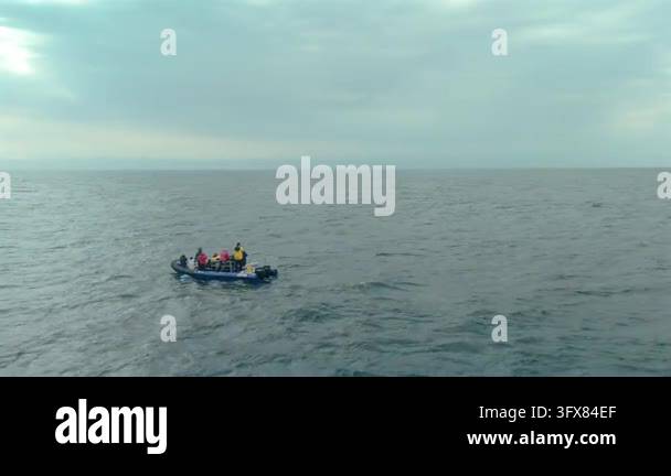 Inflatable Boat Models Drone footage showing a humpback whale breaching in the distance while ...