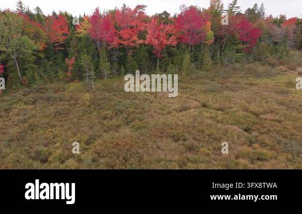Dronie shot of fall colors on Dead Stream in Lincoln, Maine Stock Video ...