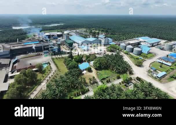 Creative Storage Buildings Aerial view of a palm oil processing factory featuring blue-roofed ...