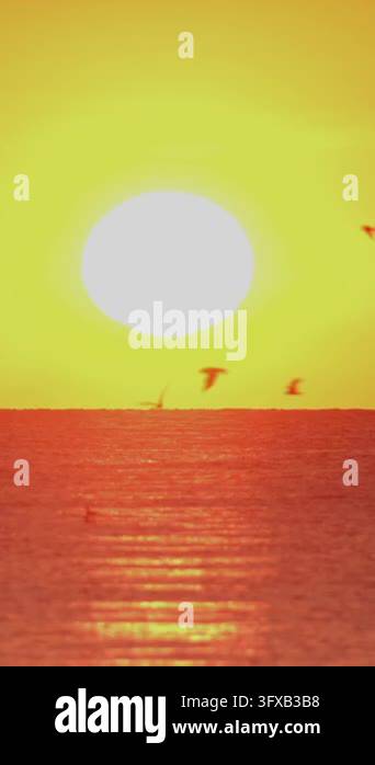 A beautiful sunset spans across the ocean horizon. Sunlight reflects ...