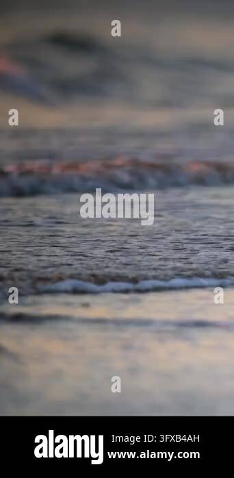 Water Ripple Effect 4k Water ripples reflect soft golden light during the evening. The gentle ...
