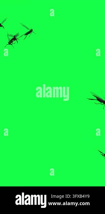 Many black insects, like grasshoppers or crickets, flying and swarming ...