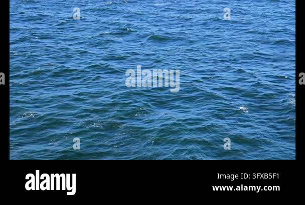 Water Ripple Background 4k Shimmering Water Ripples in Slow Motion 4K Stock Video Footage - Alamy