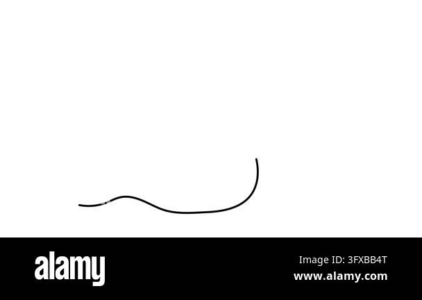 Cherry berry fruit leaf and stem one line art animation, hand drawn ...