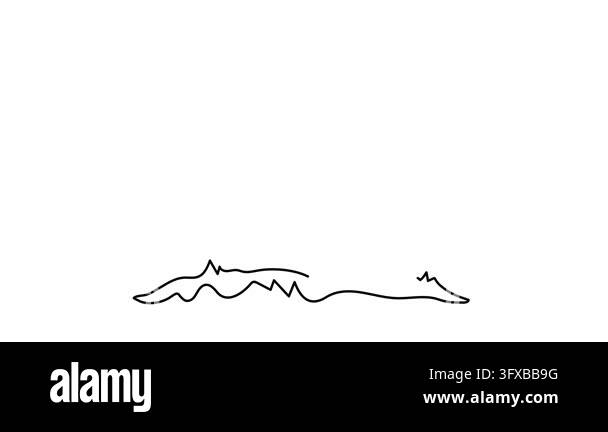 Blooming chamomile daisy sunflower one line art animation, continuous ...