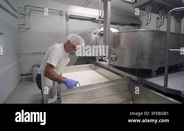 Factory Work Vector Artisan cheesemaker processing fresh cheese curds in a large steel vat ...