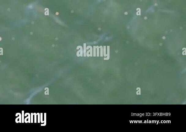 Abstract green water surface of the zzere river with sparkles of ...
