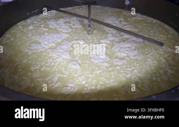 Process Mixer Industrial cheese making process, with a mechanical mixer agitating ...