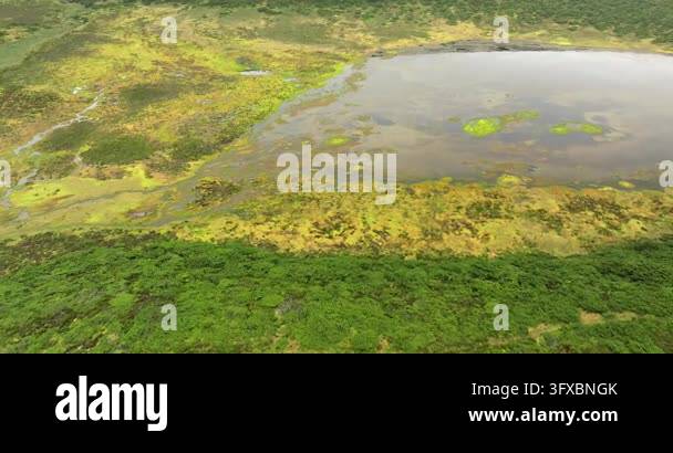 Aerial view of a shallow wetland lake with green vegetation Stock Video ...