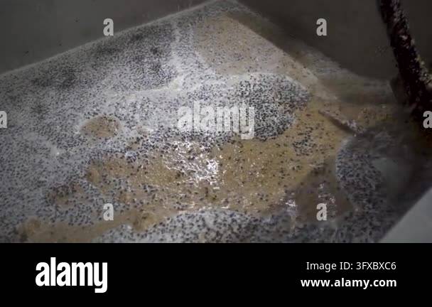 Close up footage shows a wooden paddle stirring a foamy mixture of malt ...