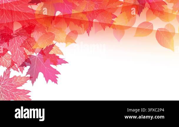 Fall Split Name Frame Autumn Leaves Fall Frame 4K Stock Video Footage - Alamy