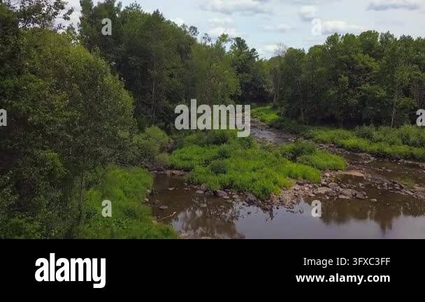 Rocky Stream Vector Aerial drone footage following a shallow rocky river through dense ...