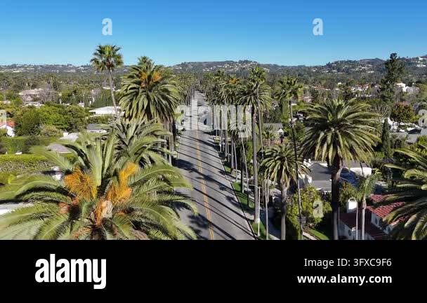 Majestic aerial view flying over an iconic palm tree lined street in ...