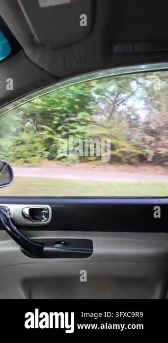 First-person POV walking along a narrow rural dirt road between garden ...