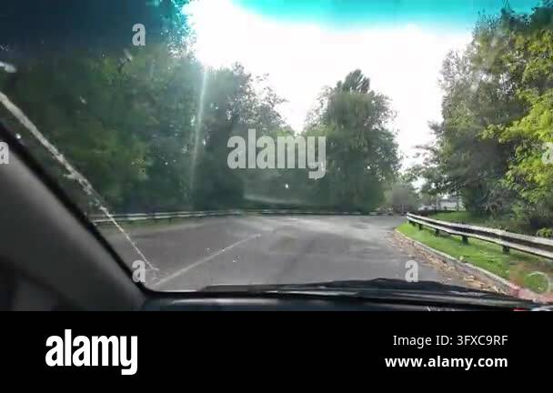First-person POV walking along a narrow rural dirt road between garden ...