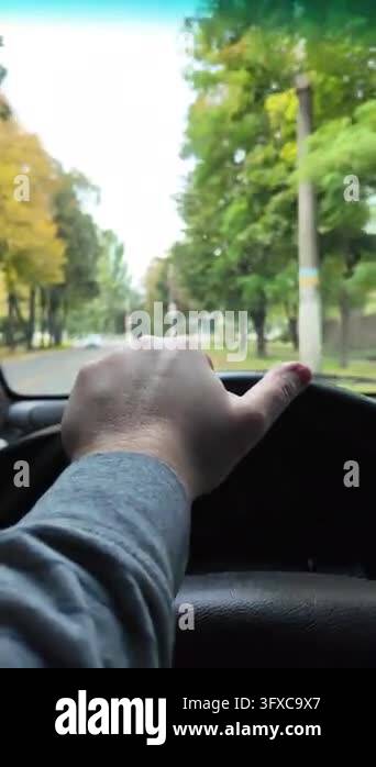 First-person POV walking along a narrow rural dirt road between garden ...