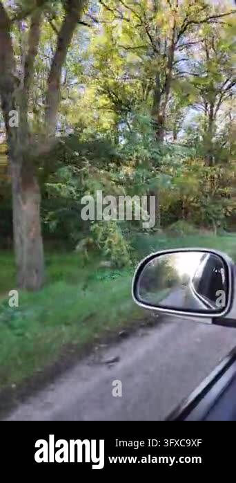 First-person POV walking along a narrow rural dirt road between garden ...