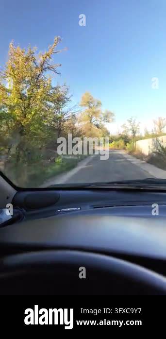 First-person POV walking along a narrow rural dirt road between garden ...