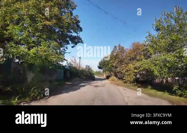 First-person POV walking along a narrow rural dirt road between garden ...
