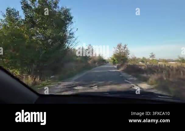 First-person POV walking along a narrow rural dirt road between garden ...