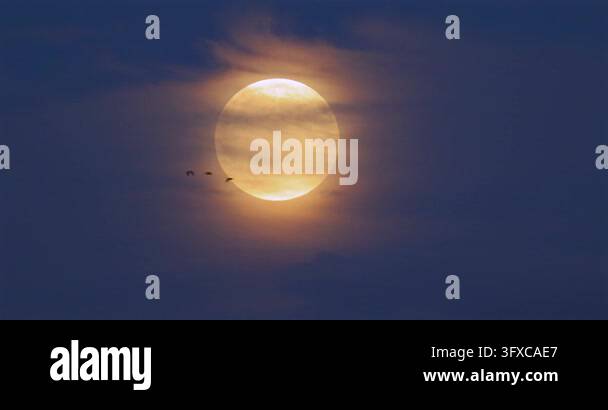 Full glowing moon rising through soft clouds in dark blue evening sky ...