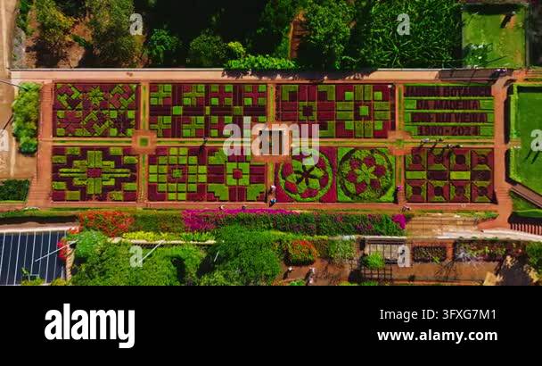 Aerial view of a beautiful flowerbed with a pattern of blooming flowers ...