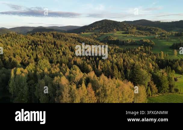 Golden late-season light falls across wooded slopes and open fields ...