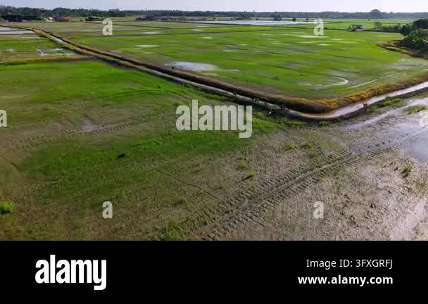 Aerial shot of a vast green agricultural field with an irrigation ditch ...