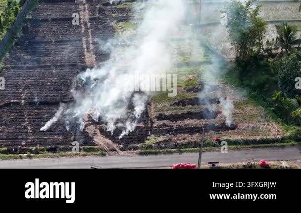 High altitude drone shows agricultural field burning with smoke plumes ...