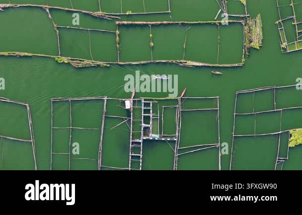 Stunning aerial view showcasing intricate water channels and wooden ...