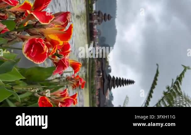 Red And Yellow Roses Frame Colorful red and yellow tropical flowers frame a tranquil water ...