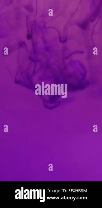 Mist Smoke Color Vertical video. Smoke background. Ink liquid. Defocused purple color ...
