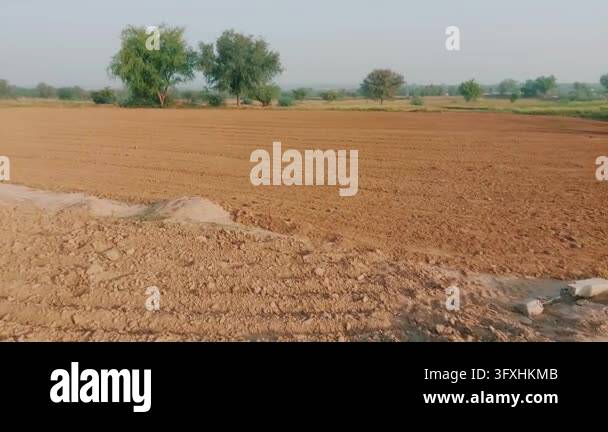 Freshly Plowed Agricultural Field Furrows Prepared For Planting Organic ...