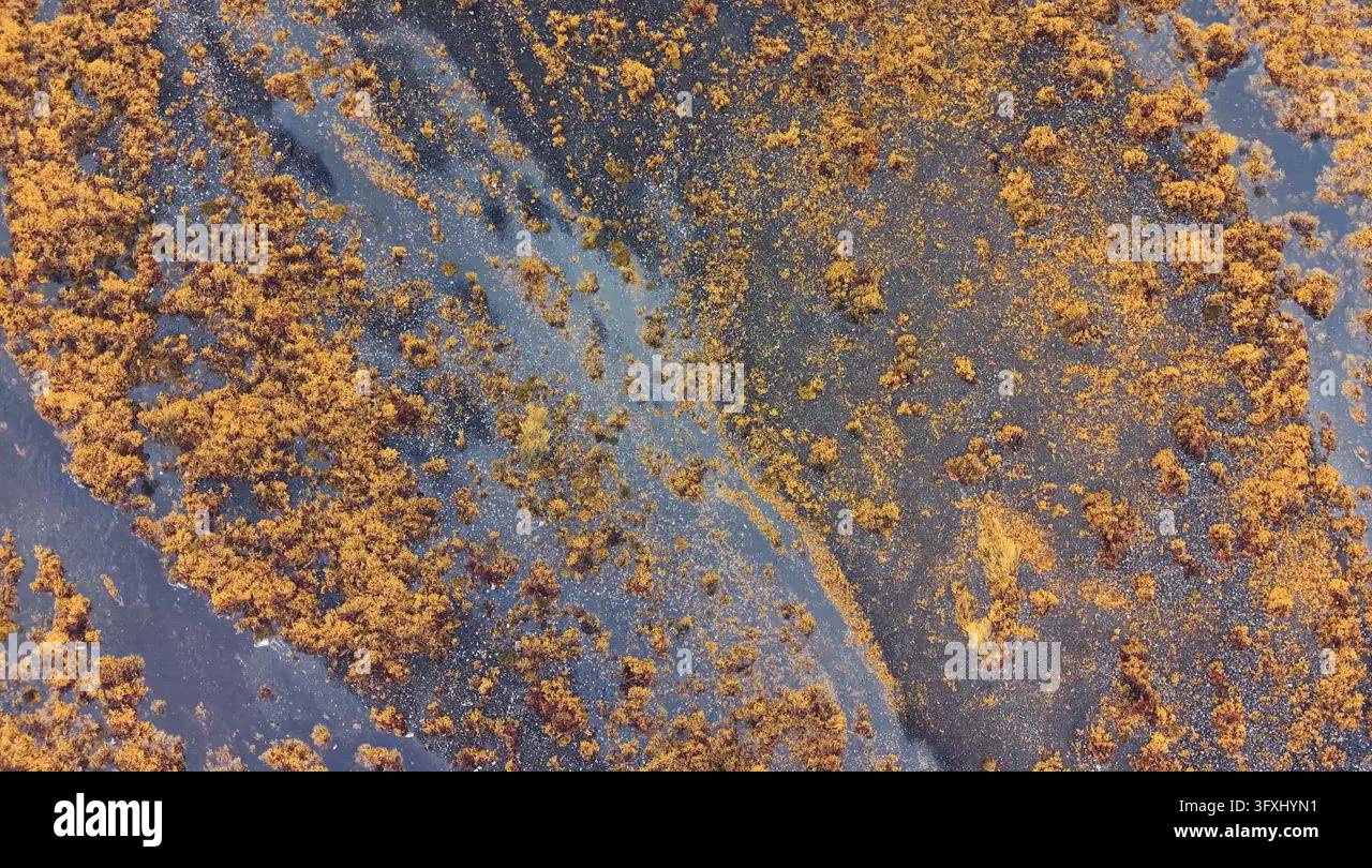 Aerial View Of Rugged Peat Bog Moorland With Tidal Channels Stock Video ...