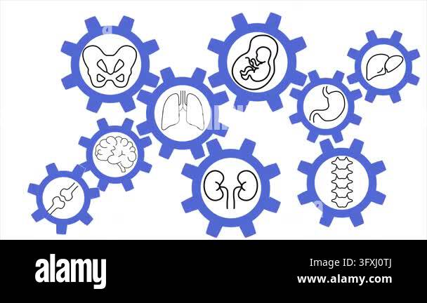 Interconnected gears with human organ icons, concept of integrated ...